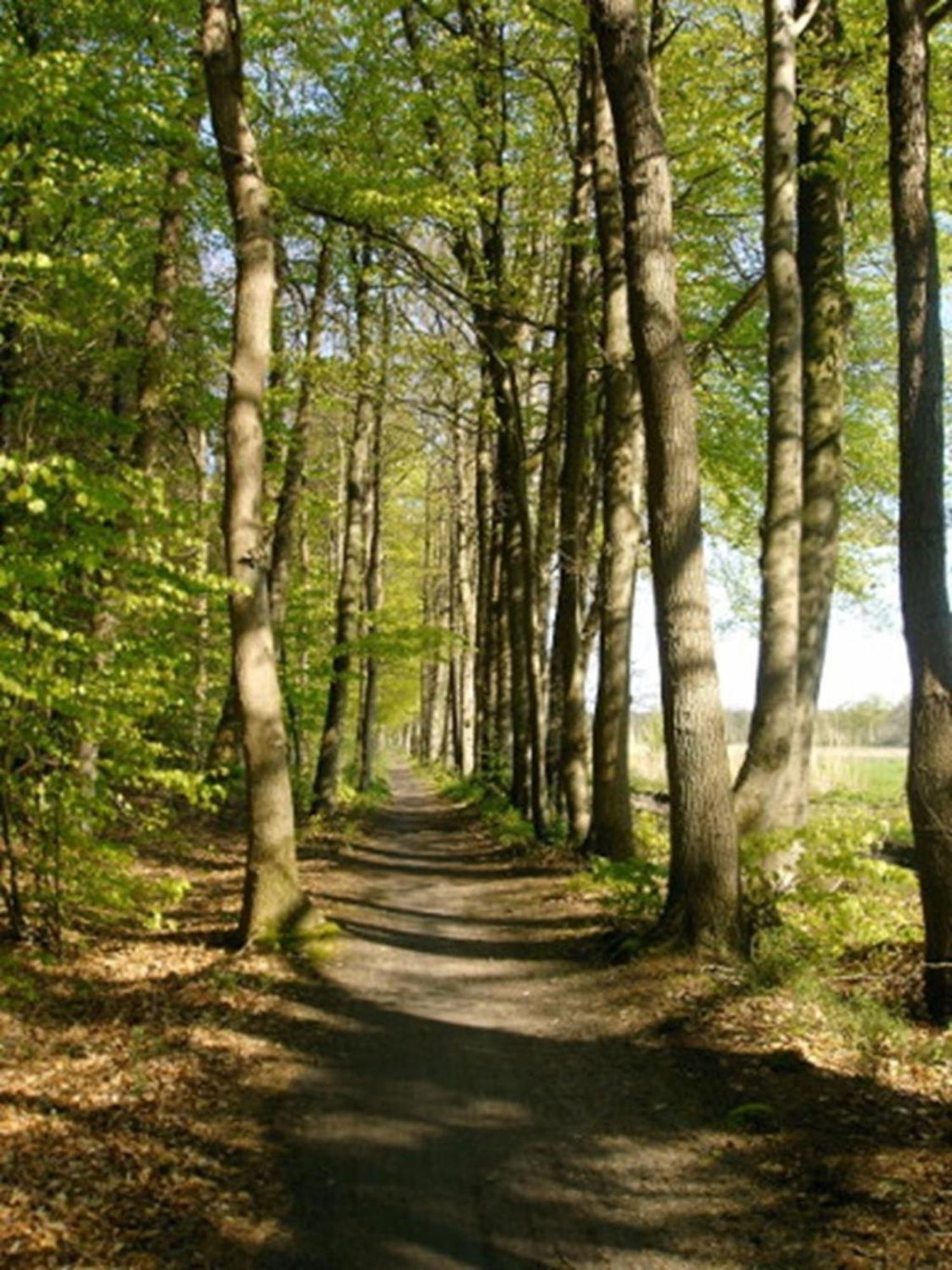 Ammerlaender Ferienwohnung Westerstede Bagian luar foto